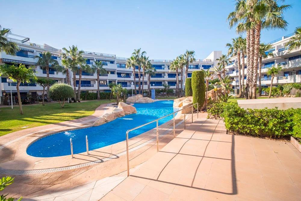 Palmas De Coco Playa Flamenca